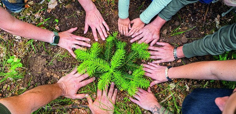 Personen sind im Wald und strecken ihre Hände in die Mitte