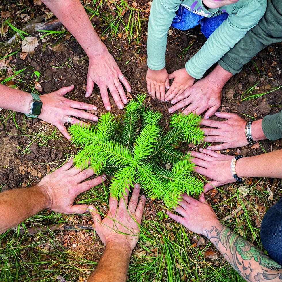 Personen sind im Wald und strecken ihre Hände in die Mitte