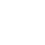 Icon LKW